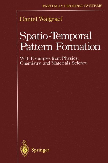 Daniel Walgraef - Spatio-Temporal Pattern Formation, E-bok