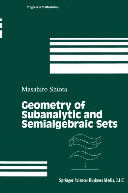 Masahiro Shiota - Geometry of Subanalytic and Semialgebraic Sets, E-bok