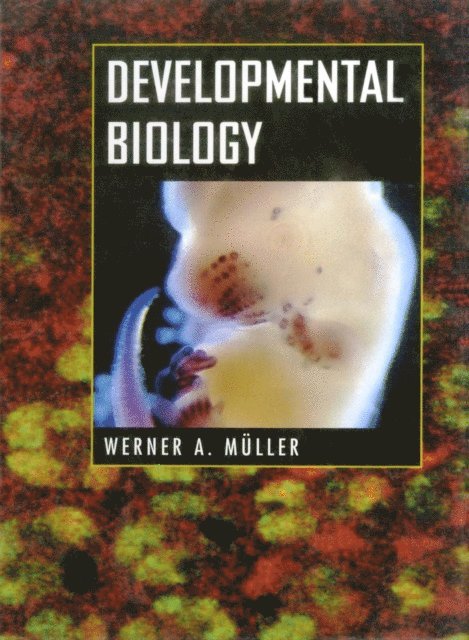 Werner A. Muller - Developmental Biology, E-bok