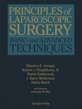 Principles of Laparoscopic Surgery