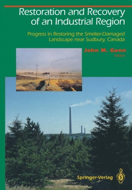 John M. Gunn - Restoration and Recovery of an Industrial Region, E-bok