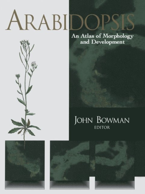 John Bowman - Arabidopsis, E-bok