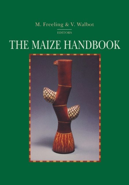 Virginia Walbot, Michael Freeling - Maize Handbook, E-bok