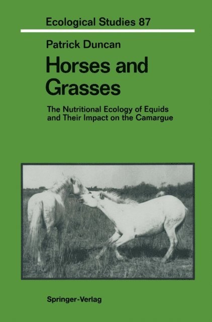 Patrick Duncan - Horses and Grasses, E-bok