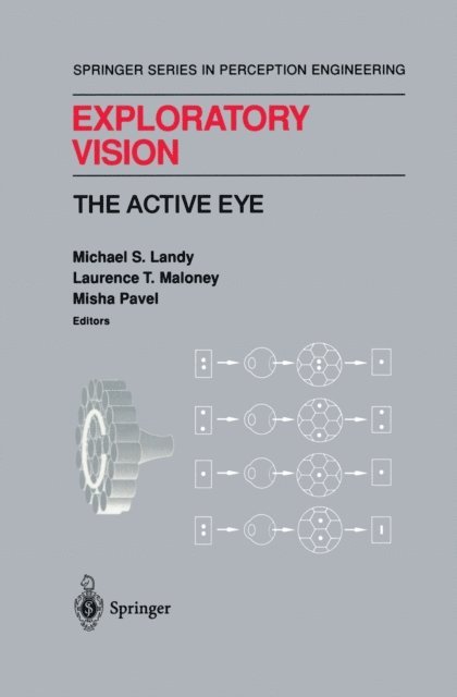 Misha Pavel, Laurence T. Maloney, Michael S. Landy - Exploratory Vision, E-bok