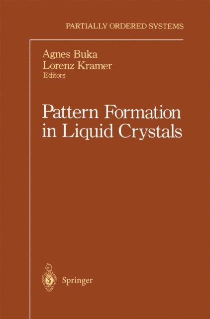 Lorenz Kramer, Agnes Buka - Pattern Formation in Liquid Crystals, E-bok