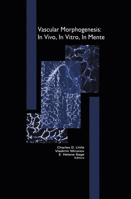 Helen Sage, Charles Little, Vladimir Mironov - Vascular Morphogenesis: In Vivo, In Vitro, In Mente, E-bok