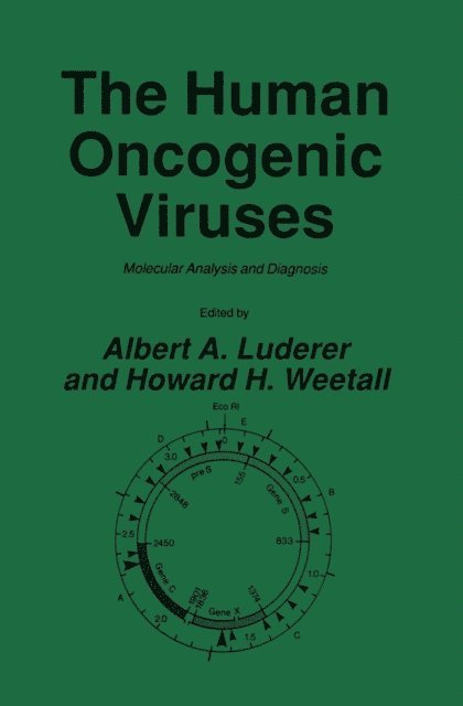Howard H. Weetall, Albert A. Luderer - Human Oncogenic Viruses, E-bok