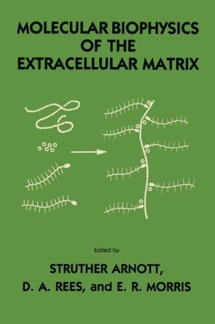 E. R. Morris, D. A. Rees, Struther Arnott - Molecular Biophysics of the Extracellular Matrix, E-bok