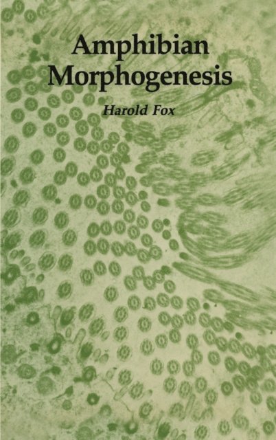 Harold Fox - Amphibian Morphogenesis, E-bok