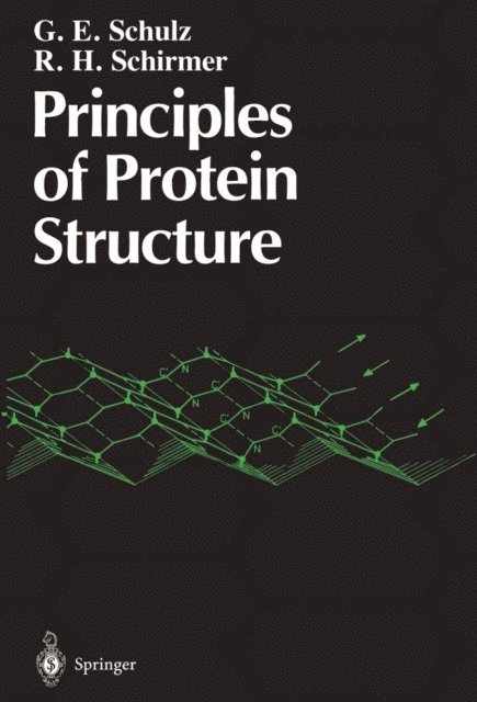 R.H. Schirmer, G.E. Schulz - Principles of Protein Structure, E-bok