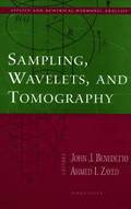 Sampling, Wavelets, and Tomography