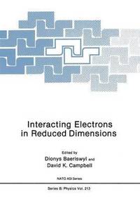 Interacting Electrons in Reduced Dimensions