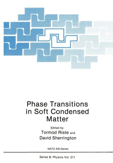 David Sherrington, Tormod Riste - Phase Transitions in Soft Condensed Matter, E-bok