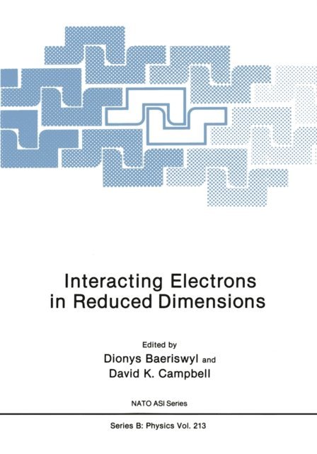 David K. Campbell, Dionys Baeriswyl - Interacting Electrons in Reduced Dimensions, E-bok
