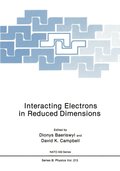 Interacting Electrons in Reduced Dimensions