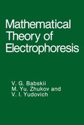 Mathematical Theory of Electrophoresis