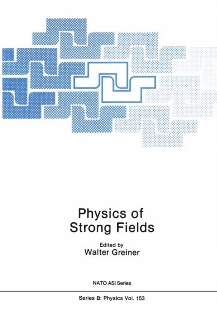 Walter Greiner - Physics of Strong Fields, E-bok