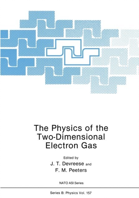 F.M. Peeters, J.T. Devreese - Physics of the Two-Dimensional Electron Gas, E-bok