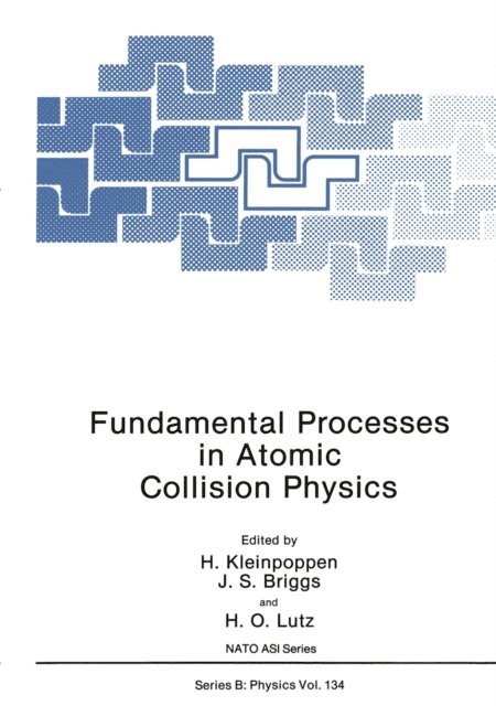 H.O. Lutz, J.S. Briggs, H. Kleinpoppen - Fundamental Processes in Atomic Collision Physics, E-bok
