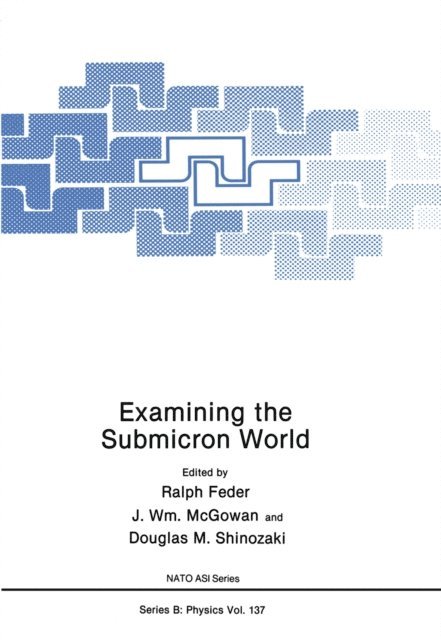 Douglas M. Shinozaki, J. Wm. McGowan, Ralph Feder - Examining the Submicron World, E-bok