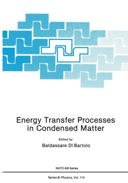 Baldassare Dibartolo - Energy Transfer Processes in Condensed Matter, E-bok