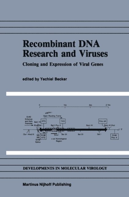 Yechiel Becker - Recombinant DNA Research and Viruses, E-bok