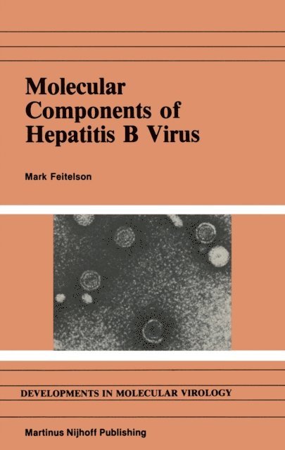 M. Feitelson - Molecular Components of Hepatitis B Virus, E-bok