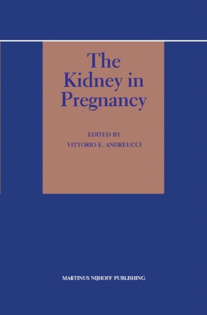 V.E. Andreucci - Kidney in Pregnancy, E-bok
