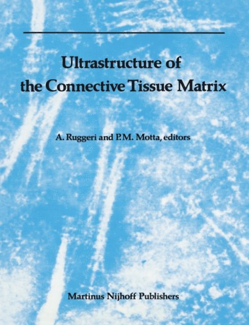 A. Ruggeri, P. Motta - Ultrastructure of the Connective Tissue Matrix, E-bok