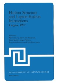 Hadron Structure and Lepton-Hadron Interactions