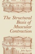 Structural Basis of Muscular Contraction