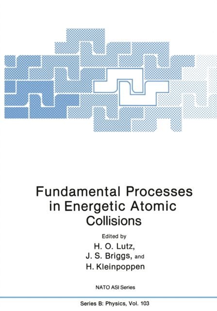 B. Kleinpoppen, J.S. Briggs, H.O. Lutz - Fundamental Processes in Energetic Atomic Collisions, E-bok