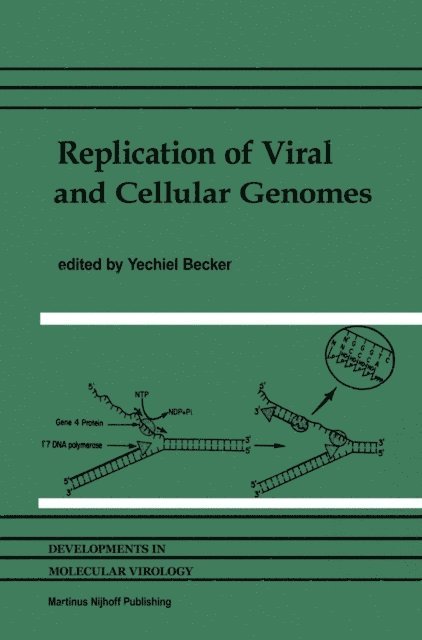 Yechiel Becker - Replication of Viral and Cellular Genomes, E-bok
