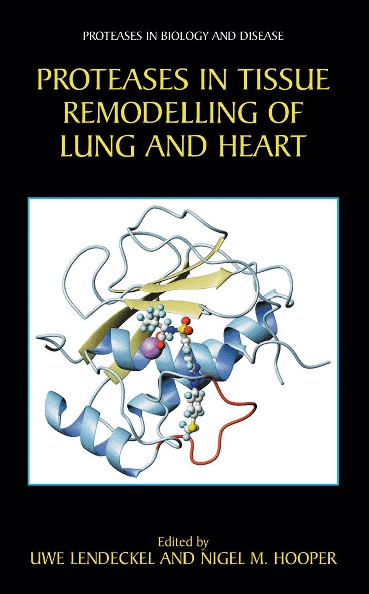 Uwe Lendeckel, Nigel M. Hooper - Proteases in Tissue Remodelling of Lung and Heart, Häftad. Tillgänglighet: Lägg i varukorg