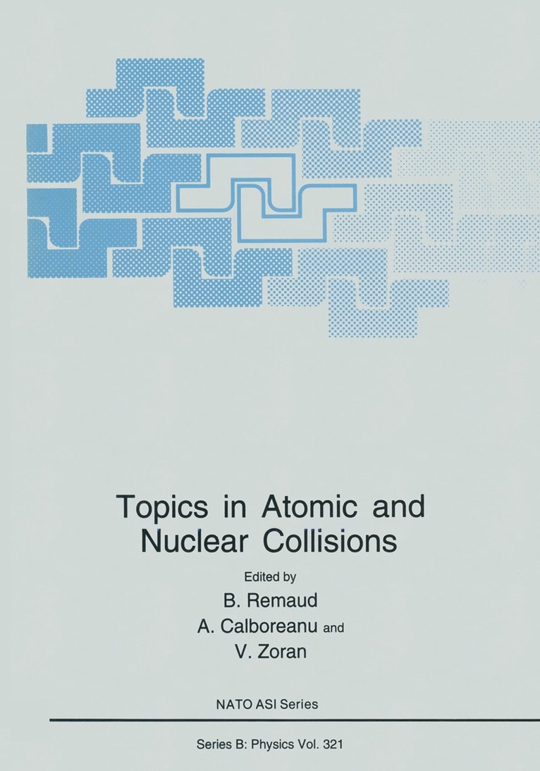 B. Remaud, A. Calboreanu, V. Zoran - Topics in Atomic and Nuclear Collisions, Häftad