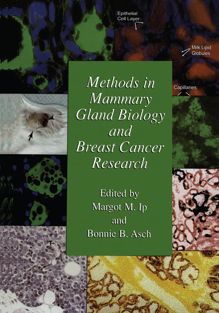 Margot M. Ip, Bonnie B. Asch - Methods in Mammary Gland Biology and Breast Cancer Research, Häftad. Tillgänglighet: Lägg i varukorg