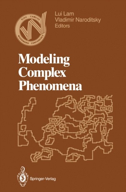 Vladimir Naroditsky, Lui Lam - Modeling Complex Phenomena, E-bok