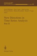 New Directions in Time Series Analysis
