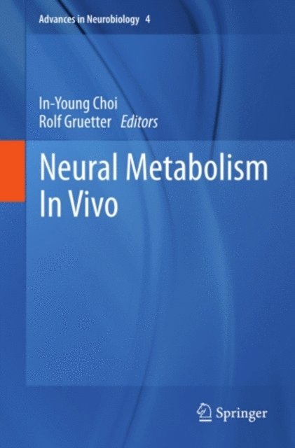 Rolf Gruetter, In-Young Choi - Neural Metabolism In Vivo, E-bok