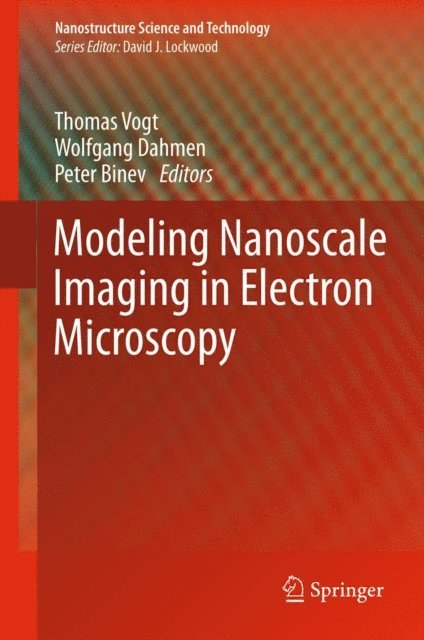 Peter Binev, Wolfgang Dahmen, Thomas Vogt - Modeling Nanoscale Imaging in Electron Microscopy, E-bok