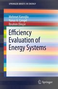 Efficiency Evaluation of Energy Systems