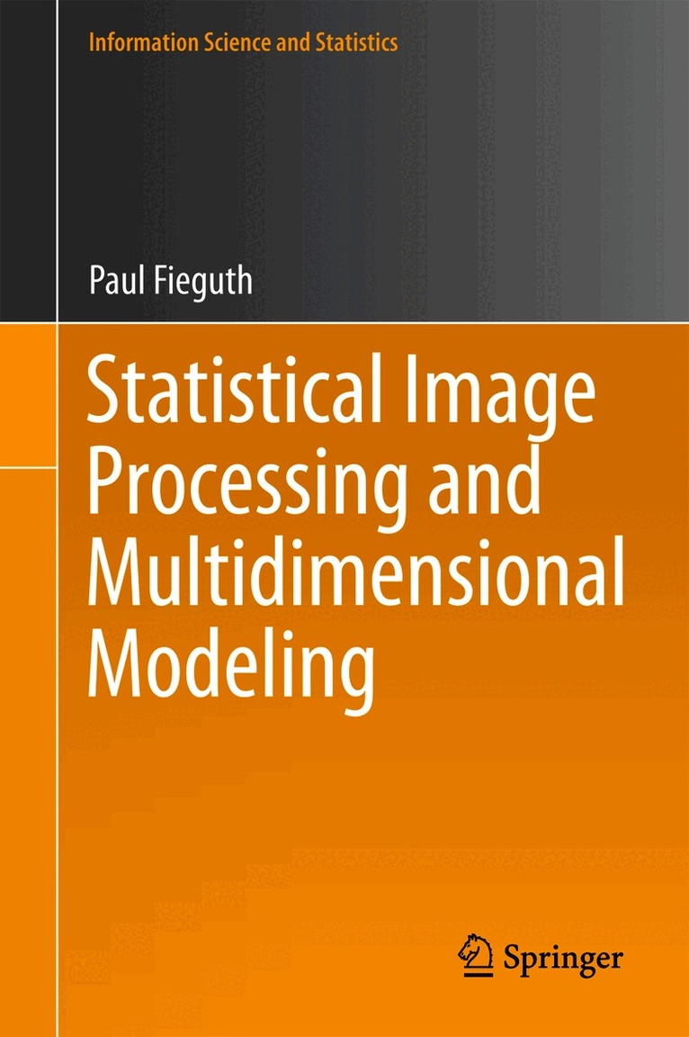Paul Fieguth - Statistical Image Processing and Multidimensional Modeling, Häftad