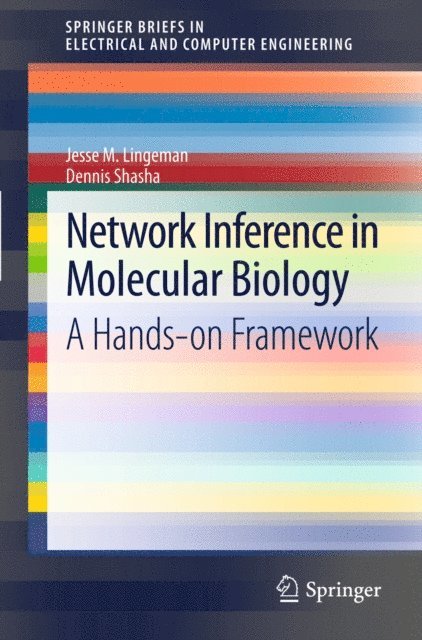Dennis Shasha, Jesse M. Lingeman - Network Inference in Molecular Biology, E-bok