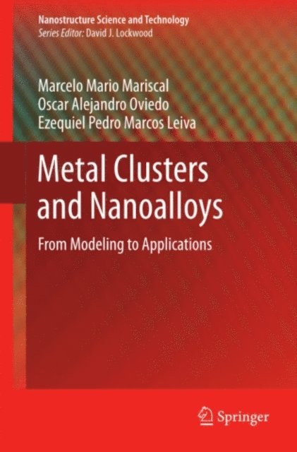 Ezequiel Pedro Marcos Leiva, Oscar Alejandro Oviedo, Marcelo Mario Mariscal - Metal Clusters and Nanoalloys, E-bok