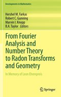 From Fourier Analysis and Number Theory to Radon Transforms and Geometry