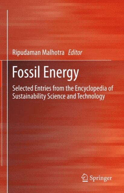 Ripudaman Malhotra - Fossil Energy, E-bok