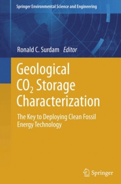 Ronald C. Surdam - Geological CO2 Storage Characterization, E-bok