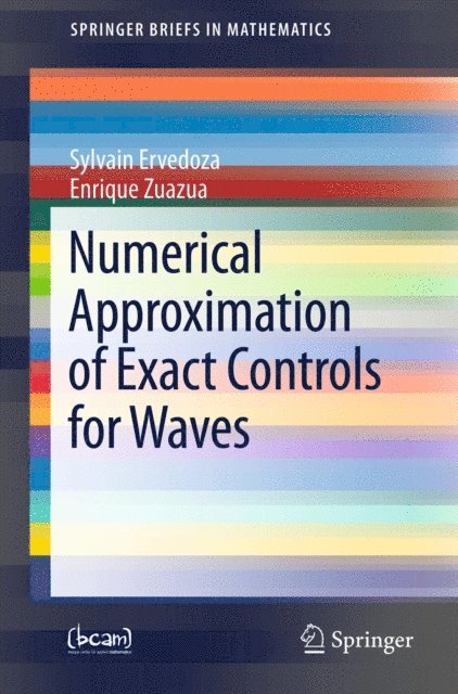 Enrique Zuazua, Sylvain Ervedoza - Numerical Approximation of Exact Controls for Waves, E-bok
