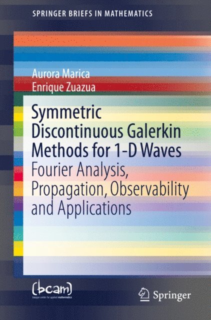 Enrique Zuazua, Aurora Marica - Symmetric Discontinuous Galerkin Methods for 1-D Waves, E-bok